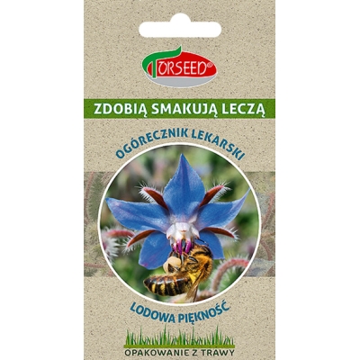 OGÓRECZNIK LEKARSKI leczniczy nasiona